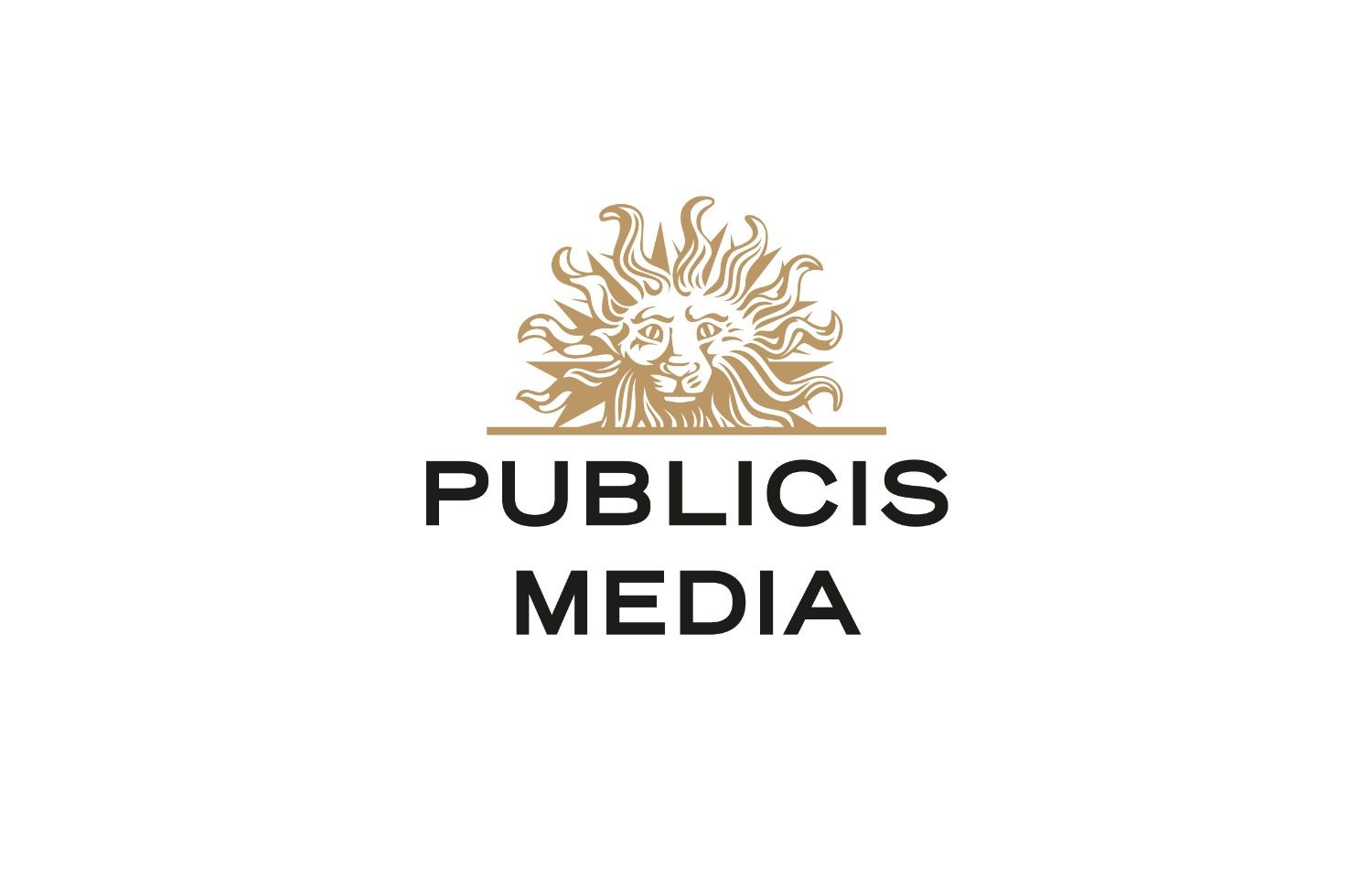 Publicis Media Logo